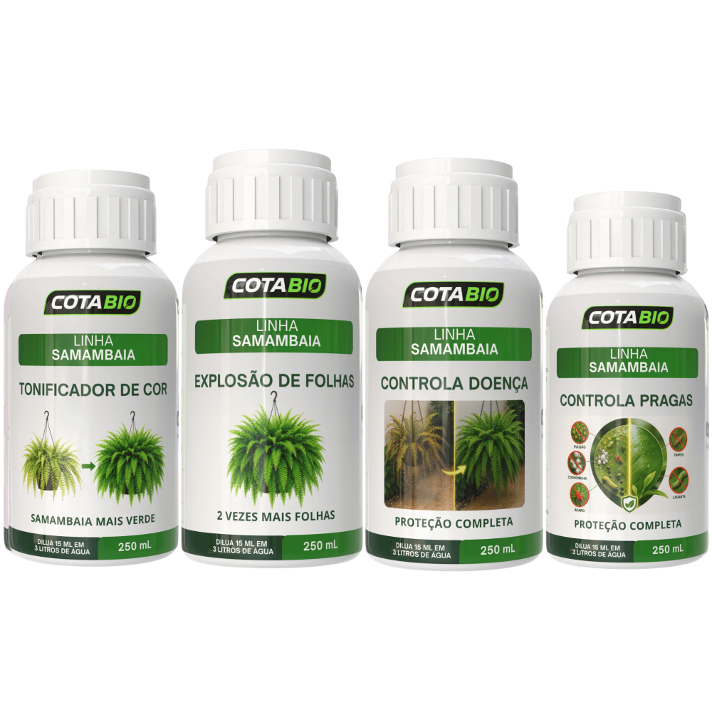 Kit Completo Samambaia (4 produtos)