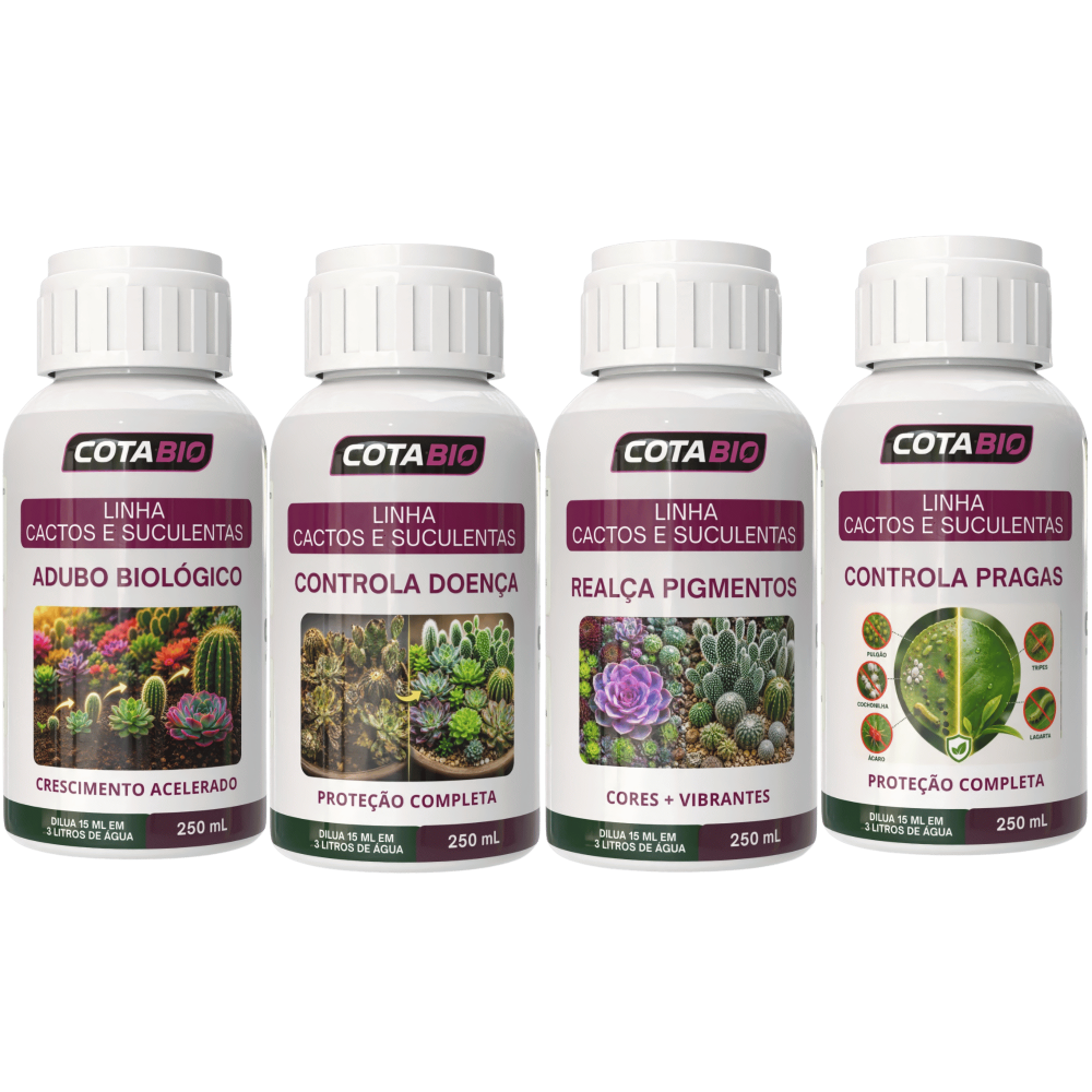 Kit Completo Cactos e Suculentas ( 4 Frascos )