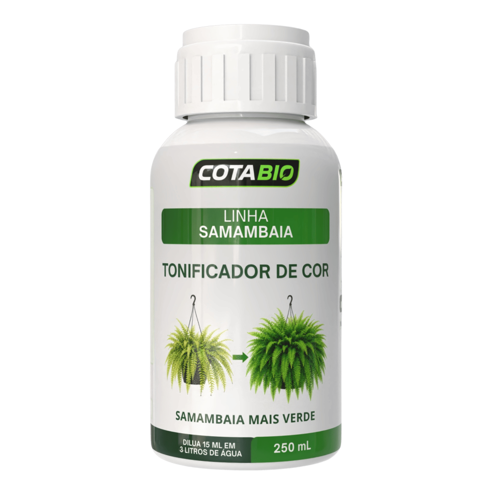 Samambaia: Tonificador de Cor