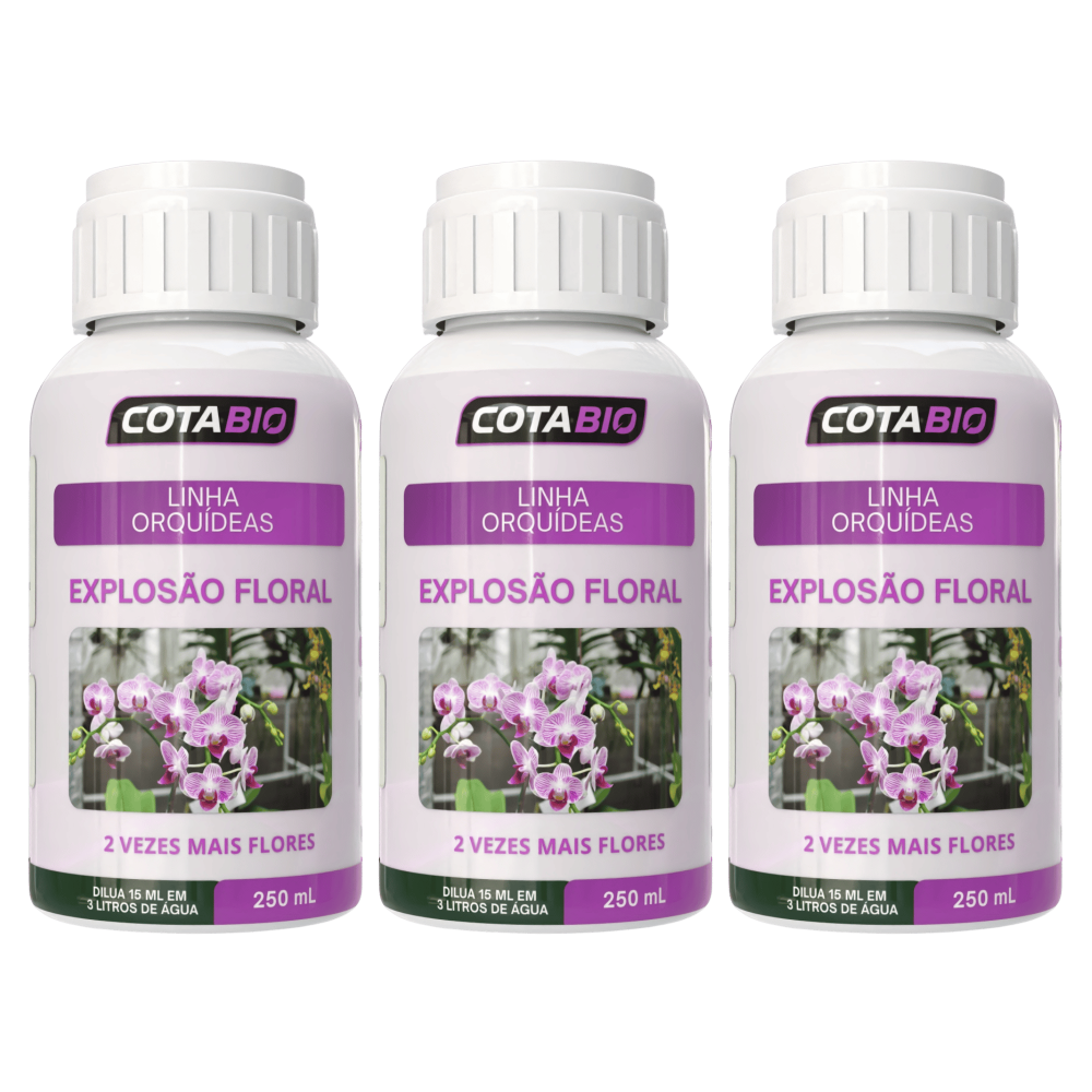 Combo Orquídeas: Explosão Floral ( 3 Frascos )