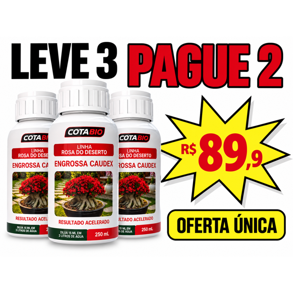 KIT ROSA DO DESERTO ENGROSSA CAUDEX PAGUE 2, LEVE 3