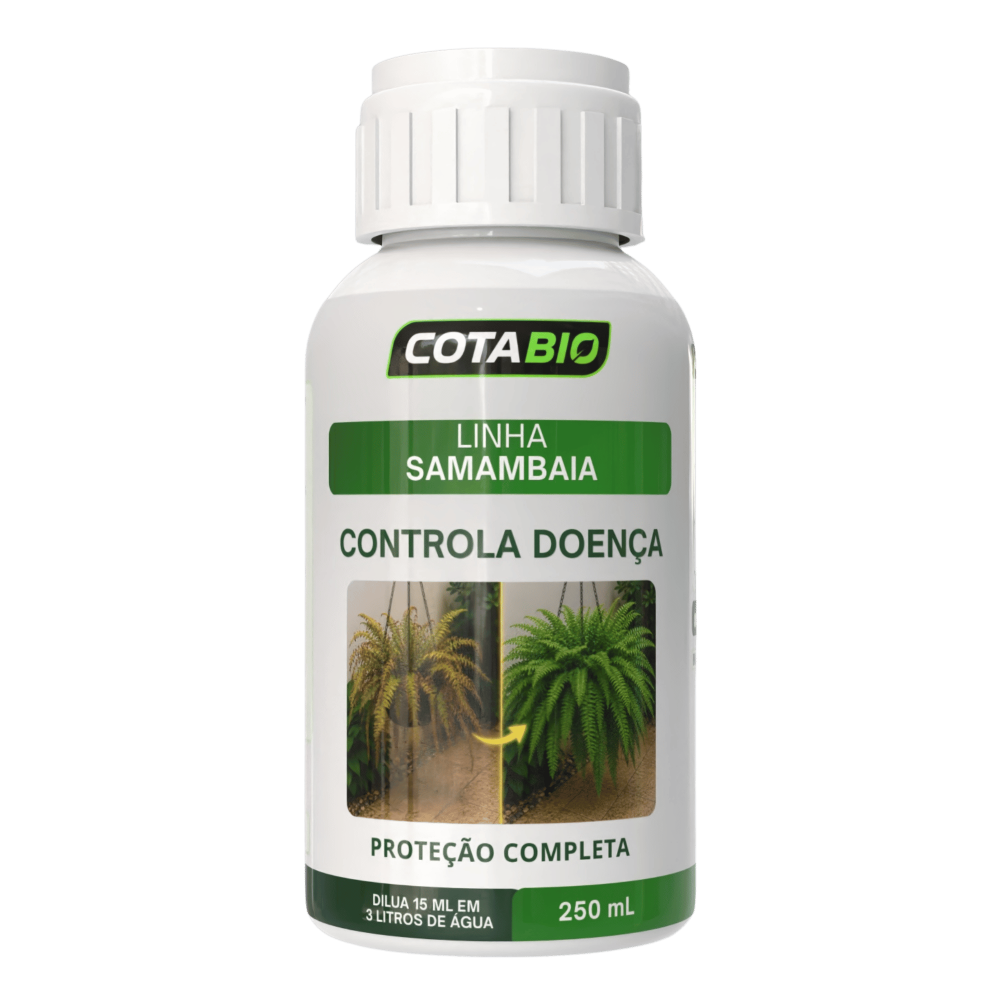 Samambaia: Controla Doença
