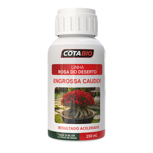 Rosa do Deserto: Engrossa Caudex - 250 ml