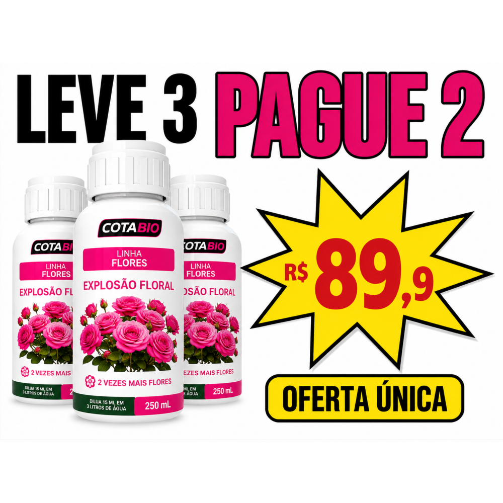 KIT FLORES EXPLOSÃO FLORAL PAGUE 2, LEVE 3