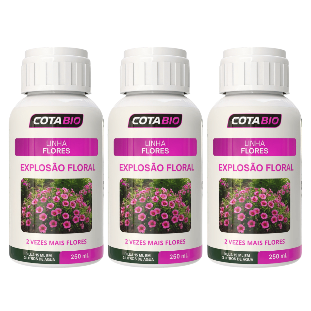 Combo Flores: Explosão Floral ( 3 Frascos )