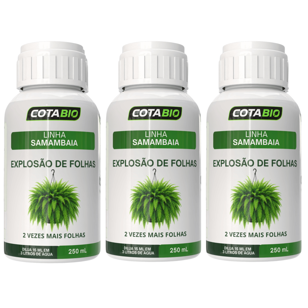 Combo Samambaia: Explosão de Folhas (3 Frascos)