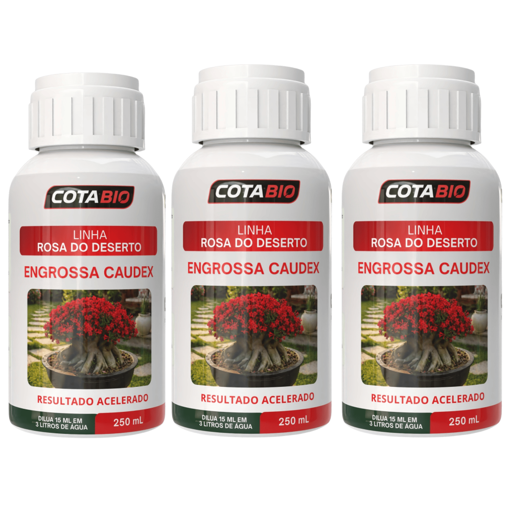 Combo Rosa do Deserto: Engrossa Caudex ( 3 Frascos )