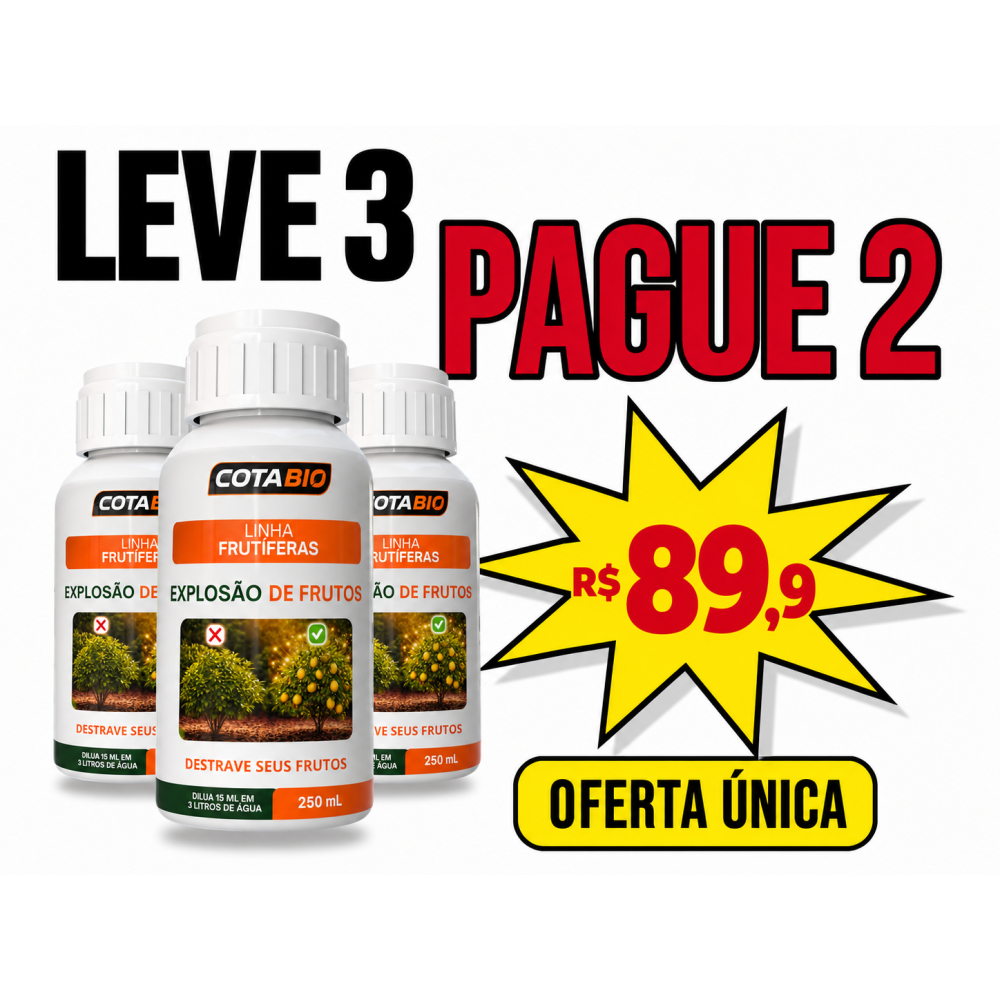 KIT EXPLOSÃO DE FRUTAS PAGUE 2, LEVE 3